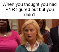 When you thought you had PNR figured out but you didn't meme