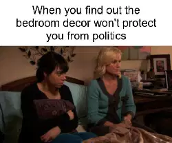 When you find out the bedroom decor won't protect you from politics meme
