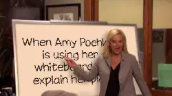 When Amy Poehler is using her whiteboard to explain her plan meme