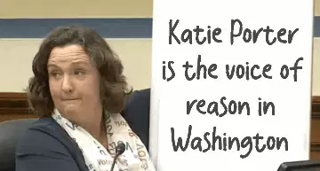 Katie Porter is the voice of reason in Washington meme