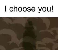 I choose you! meme