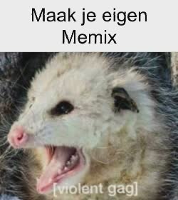 An Oppossum Gasps At Human 