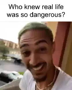 Who knew real life was so dangerous? meme