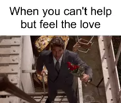 When you can't help but feel the love meme