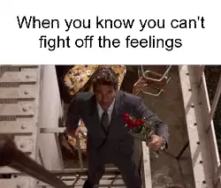 When you know you can't fight off the feelings meme