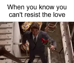 When you know you can't resist the love meme
