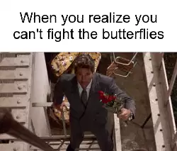 When you realize you can't fight the butterflies meme