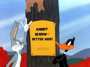 Rabbit Season - better hide! meme
