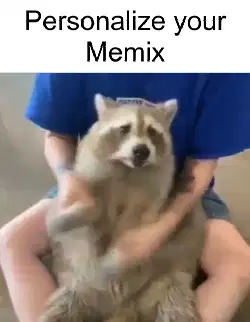 raccoon-dance-force