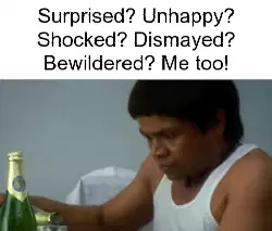 Surprised? Unhappy? Shocked? Dismayed? Bewildered? Me too! meme