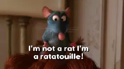 I'm not a rat I'm a ratatouille! meme
