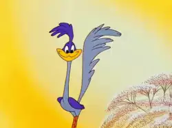 Road Runner: When you have to get going, but you don't know which way to go meme