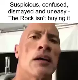 Suspicious, confused, dismayed and uneasy - The Rock isn't buying it meme