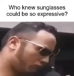 Who knew sunglasses could be so expressive? meme