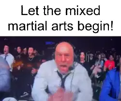 Let the mixed martial arts begin! meme