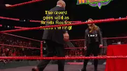 The crowd goes wild as Ronda Rousey enters the ring! meme