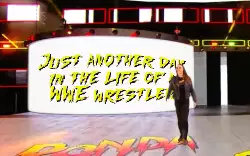 Just another day in the life of a WWE wrestler meme