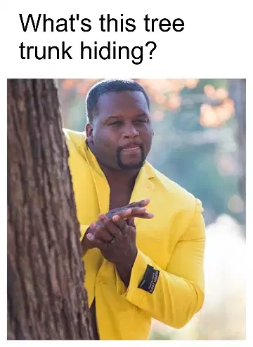 What's this tree trunk hiding? meme