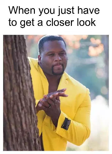 When you just have to get a closer look meme