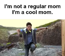 I'm not a regular mom I'm a cool mom. meme