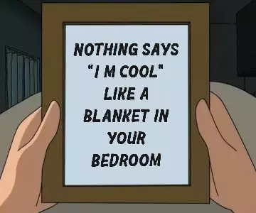 Nothing says "I'm cool" like a blanket in your bedroom meme