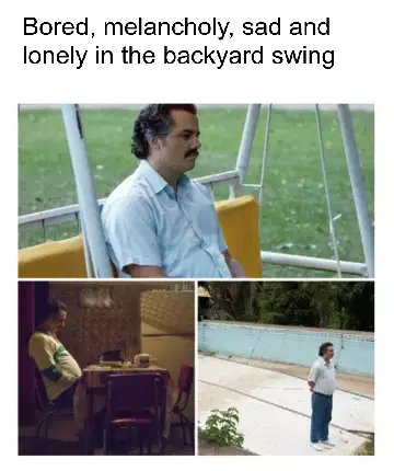 Bored, melancholy, sad and lonely in the backyard swing meme