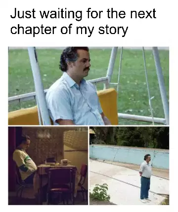 Just waiting for the next chapter of my story meme