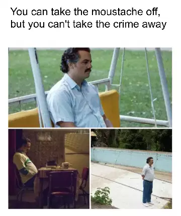 You can take the moustache off, but you can't take the crime away meme