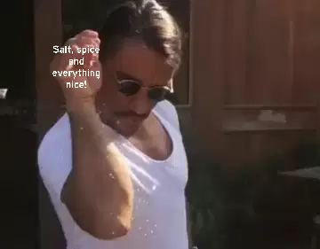 Salt, spice and everything nice! meme