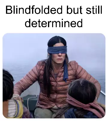 Blindfolded but still determined meme