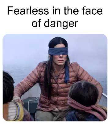 Fearless in the face of danger meme