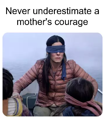 Never underestimate a mother's courage meme