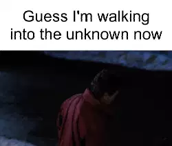 Guess I'm walking into the unknown now meme