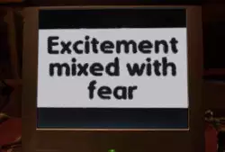 Excitement mixed with fear meme