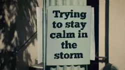 Trying to stay calm in the storm meme