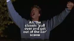 Ah, the classic 'pull over and get out of the car' scene meme