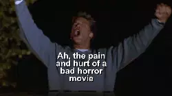 Ah, the pain and hurt of a bad horror movie meme