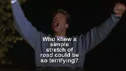 Who knew a simple stretch of road could be so terrifying? meme