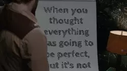 When you thought everything was going to be perfect, but it's not meme