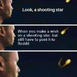 When you make a wish on a shooting star, but still have to post it to Reddit meme