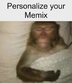 Monkey Puppet Meme, GIF - Share with Memix