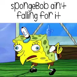 SpongeBob ain't falling for it meme