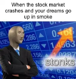 When the stock market crashes and your dreams go up in smoke meme
