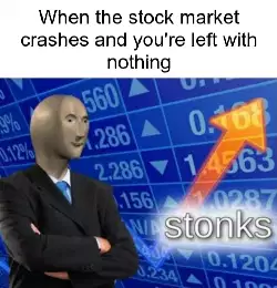 When the stock market crashes and you're left with nothing meme