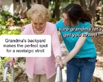 Grandma's backyard makes the perfect spot for a nostalgic stroll meme