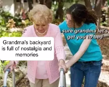 Grandma's backyard is full of nostalgia and memories meme