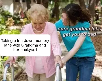 Taking a trip down memory lane with Grandma and her backyard meme