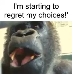 I'm starting to regret my choices!' meme