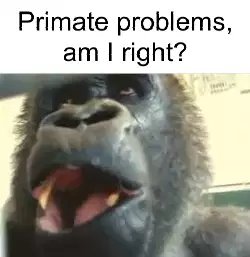 Primate problems, am I right? meme
