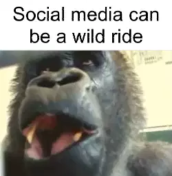 Social media can be a wild ride meme